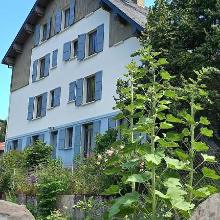 Chalet du Doumet Appartement 4 étoiles et Garage privé Luz-Saint-Sauveur Exterior foto