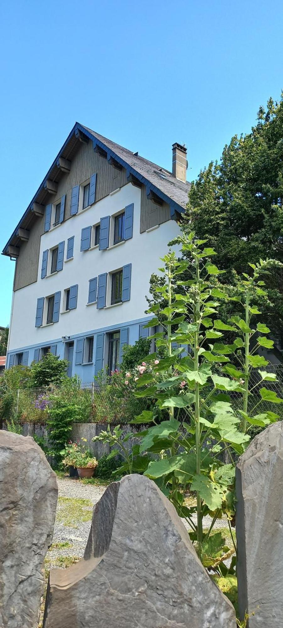 Chalet du Doumet Appartement 4 étoiles et Garage privé Luz-Saint-Sauveur Exterior foto